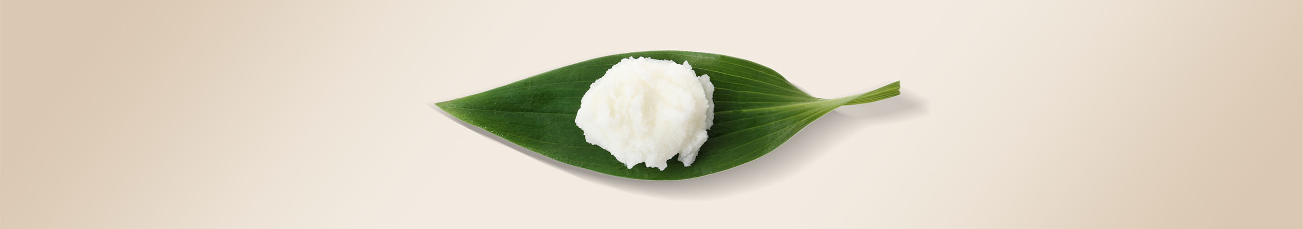 Sheabutter - das Geheimnis einer intensiv mit Feuchtigkeit versorgten Haut