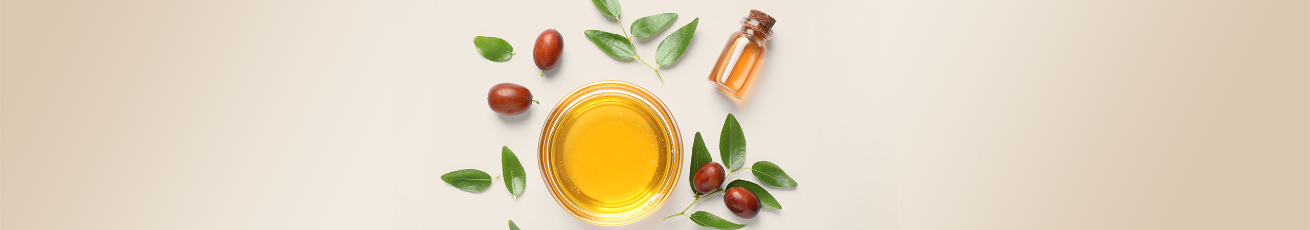 Jojobaöl, ein Verbündeter für alle Hauttypen