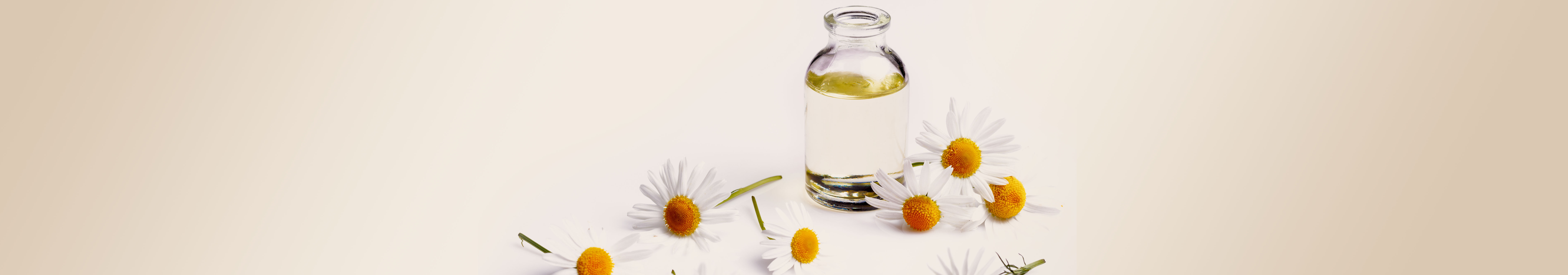 Bisabolol, der Freund trockener und empfindlicher Haut