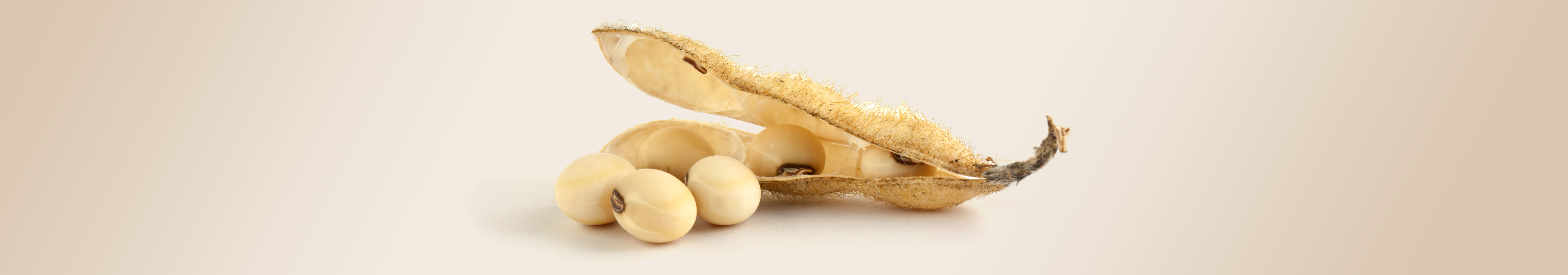 Sojaöl, stärkt die Hautbarriere und bewahrt den Feuchtigkeitsgehalt der Haut