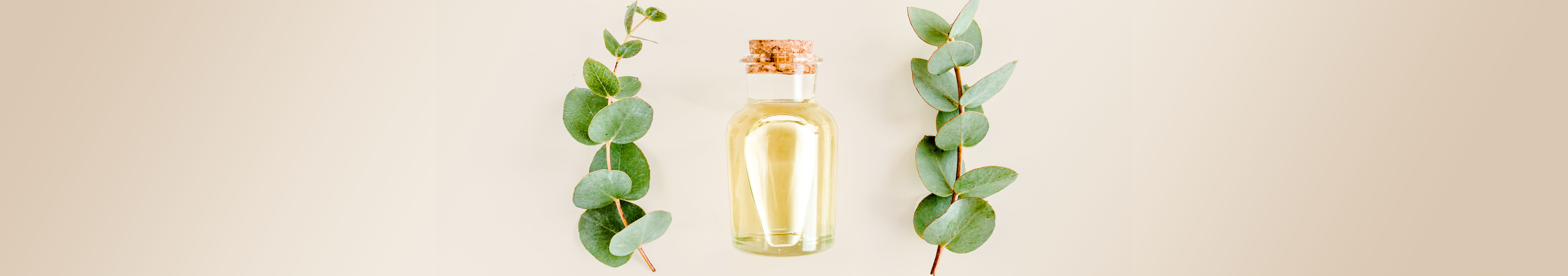 Eukalyptus, fördert die Entspannung und bekämpft Erkältungen