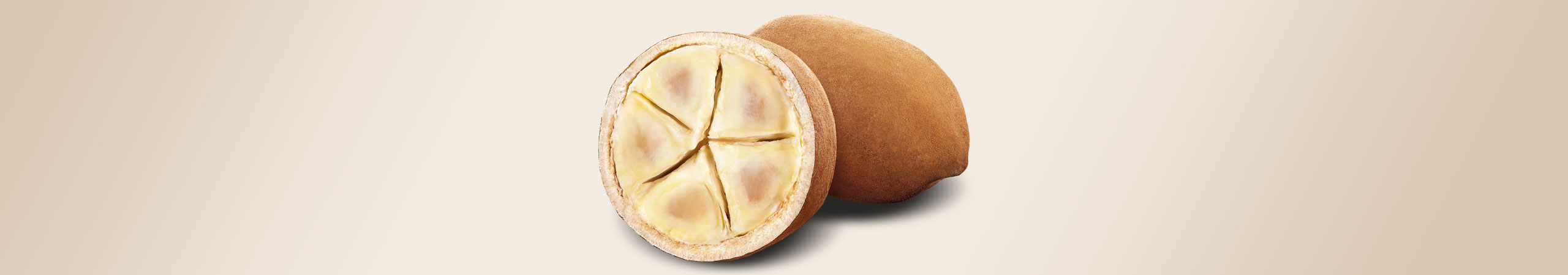 Cupuaçu-Butter, ein aussergewöhnlicher Wirkstoff für eine weiche und seidige Haut