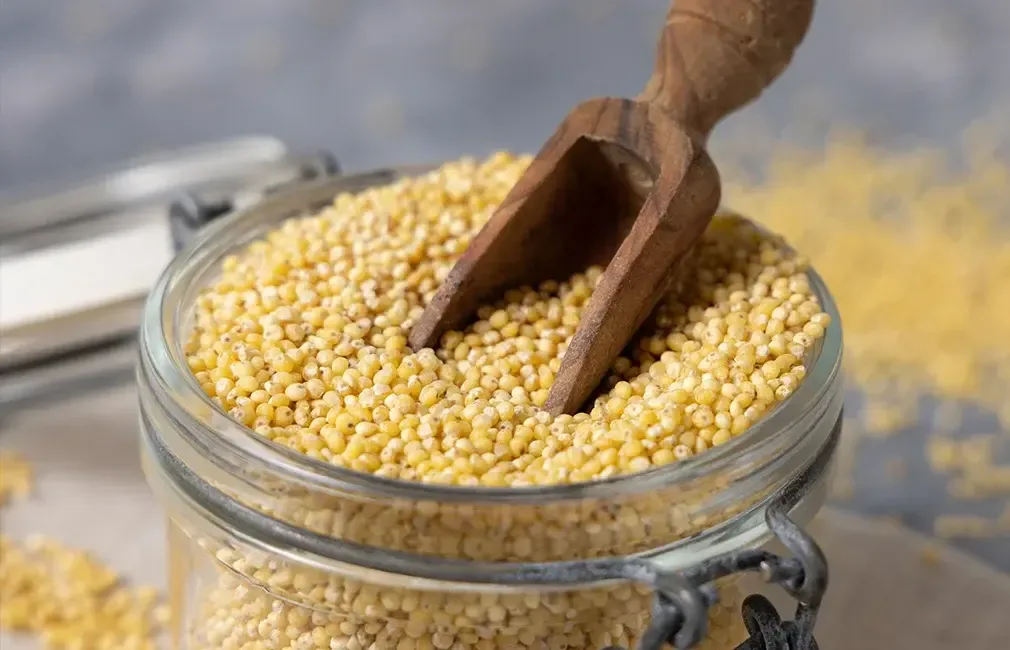 Des nutriments clés pour soutenir la structure unguéale