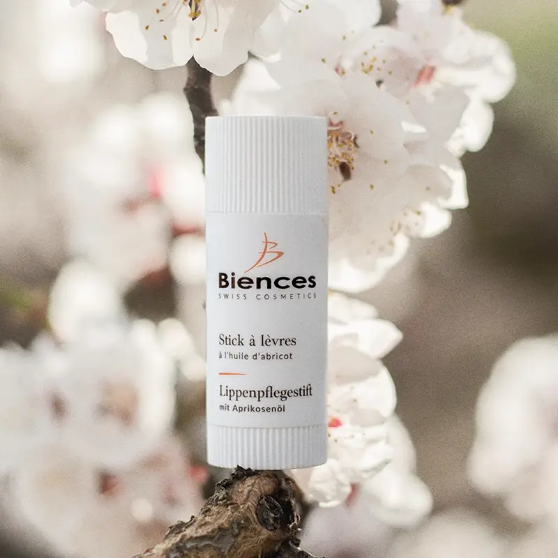 Stick à lèvres à l'huile d'abricot