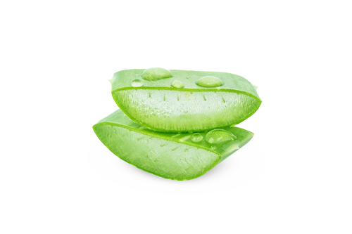 L'Aloe Vera, ingrédient miraculeux aux nombreux bienfaits