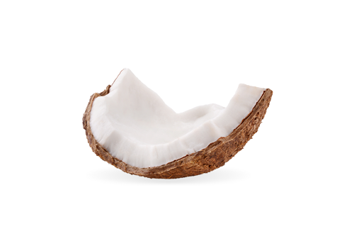 La coco, un actif doux pour la peau et nourrissant
